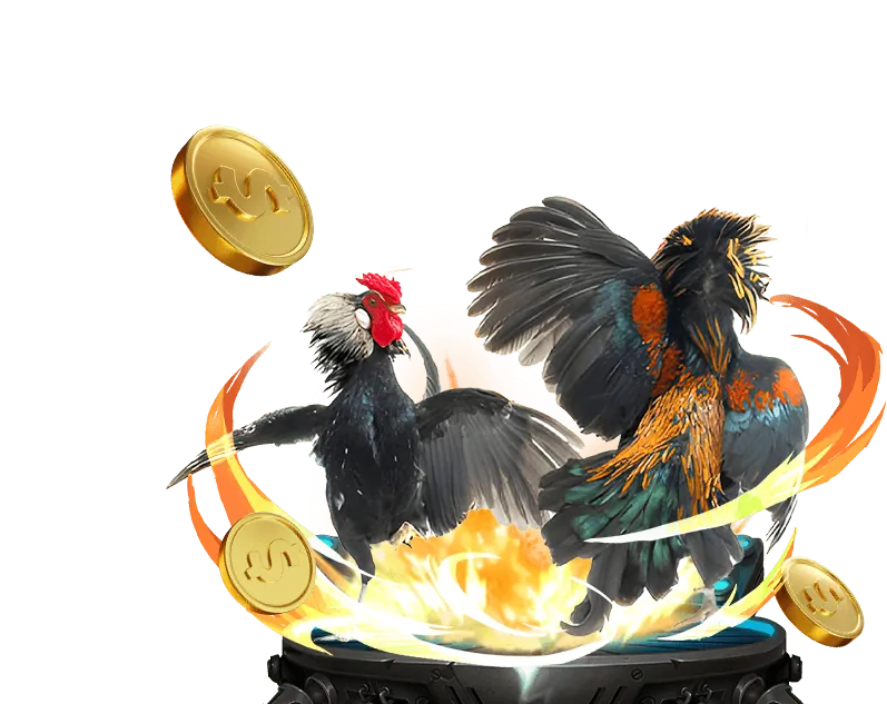 Sân đấu đá gà trực tuyến sôi động tại 0k9